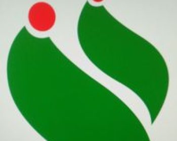 359826347_735606688572763_2276797349071341325_n